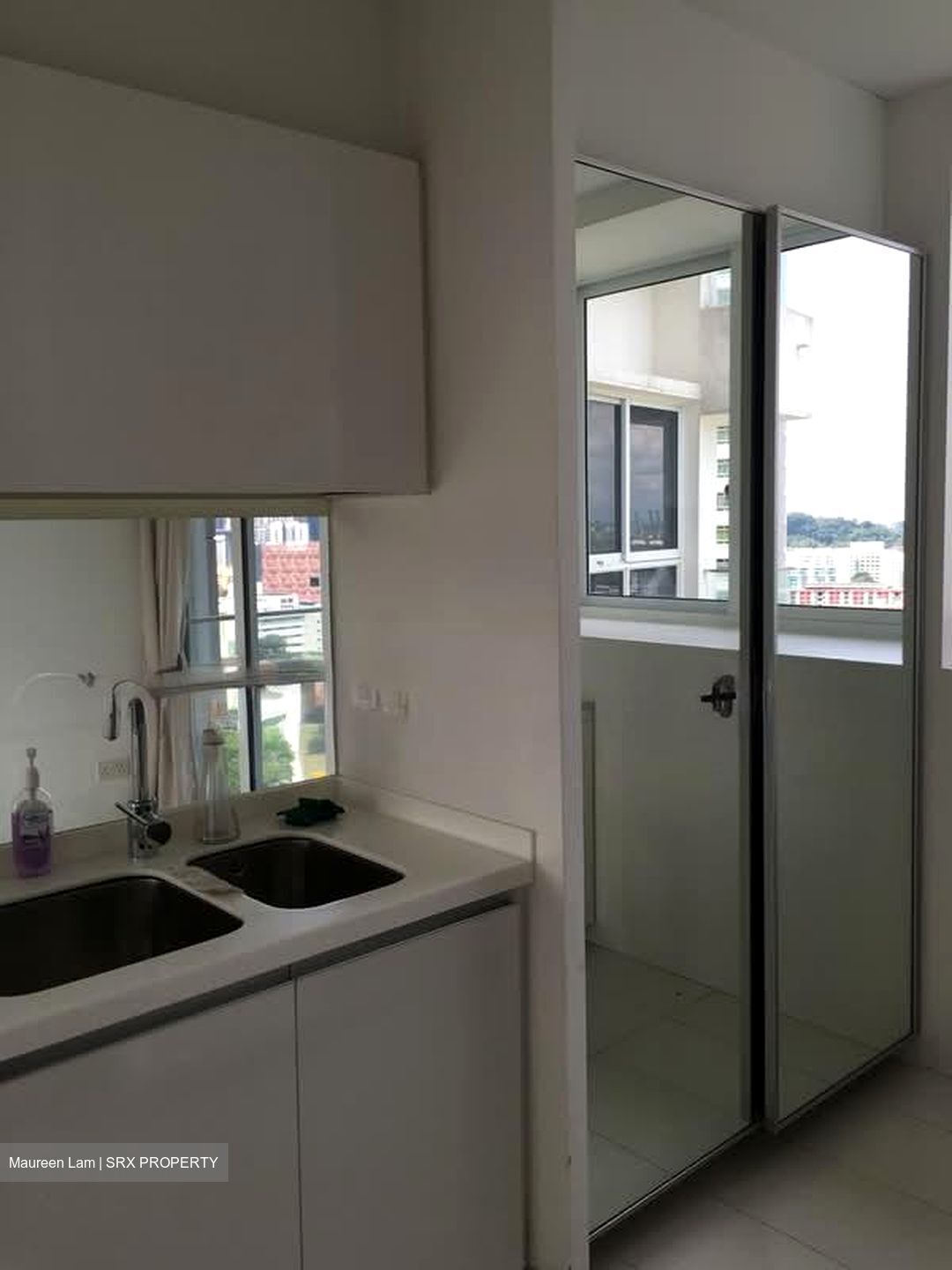 The Regency At Tiong Bahru (D3), Condominium #562118891